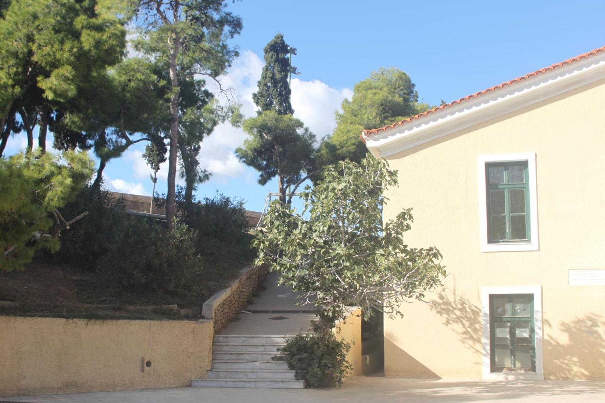 "Under The Olive Tree"- Beautiful Apartment In The Heart Of Atenas Exterior foto